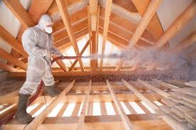 Best Batt and Roll Insulation  in Newport, MN