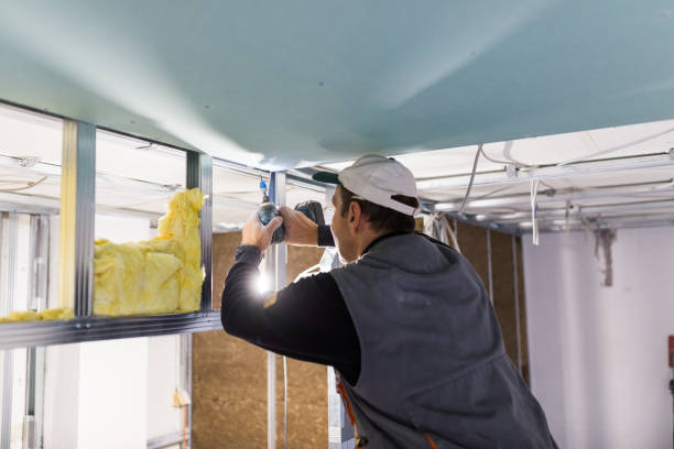 Best Crawl Space Insulation  in Newport, MN