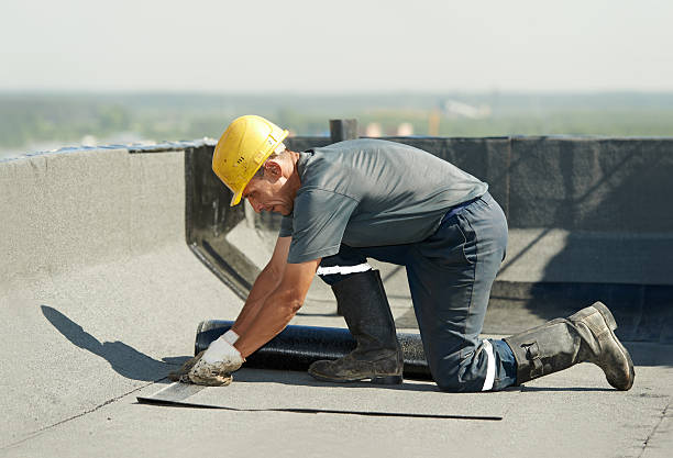 Best Garage Insulation  in Newport, MN