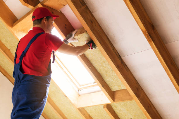 Best Attic Insulation Installation  in Newport, MN